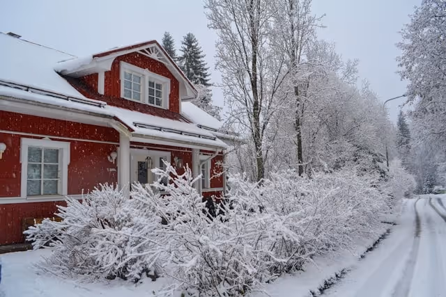 Finnish property
